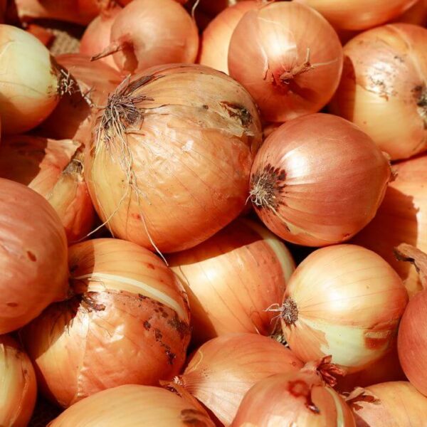 ONE Onion (WHOLE) Uncut