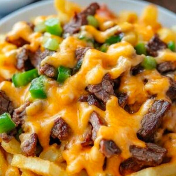 Steak mega loaded fries